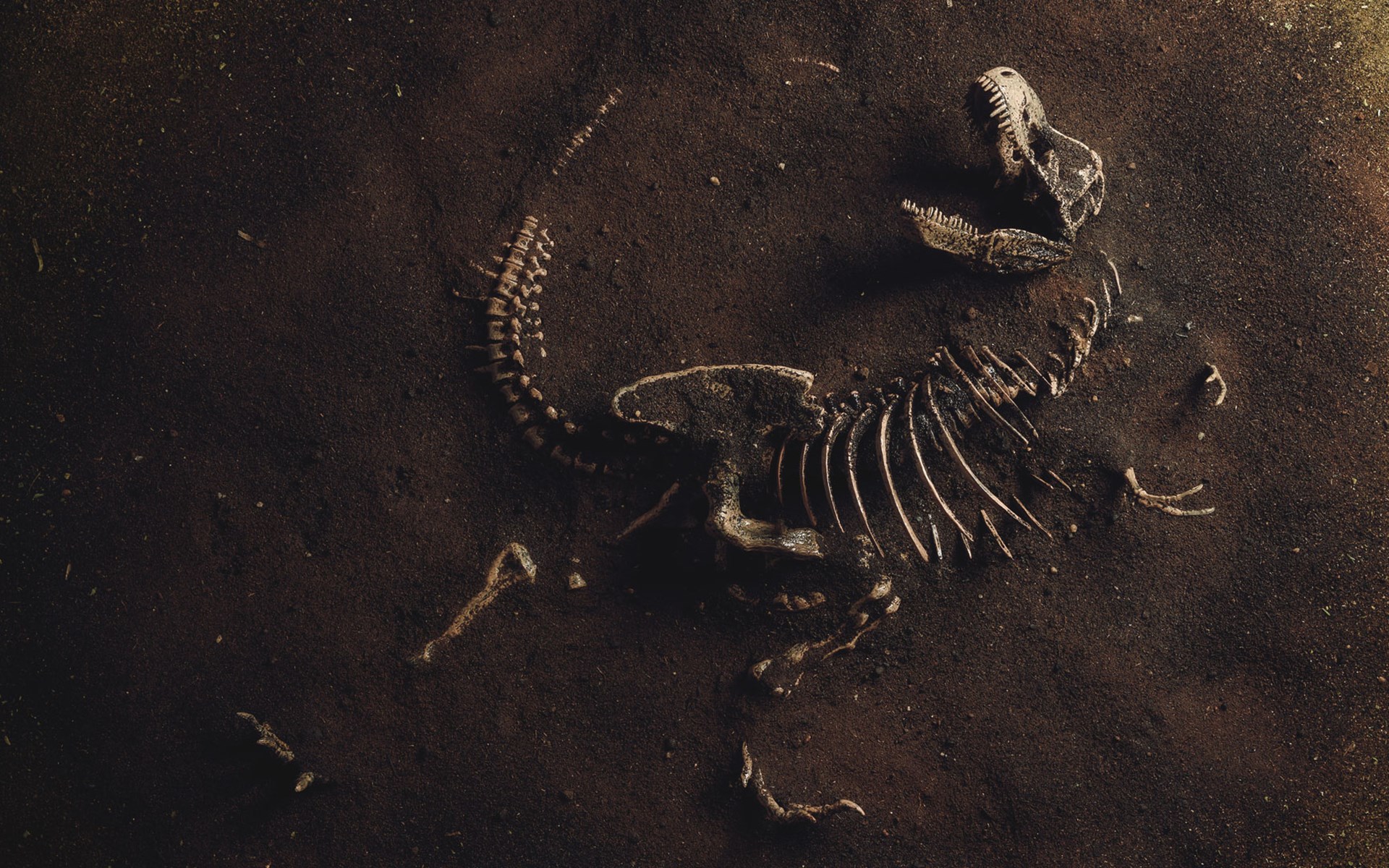 Extinct: Escape from Jurassic Island Dinosaur Skeleton Image