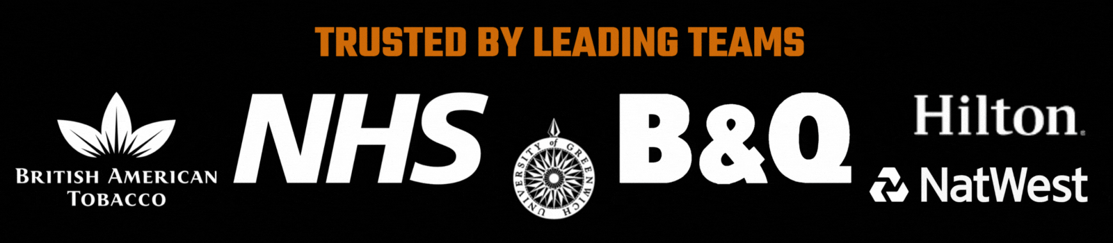 Partner Banner