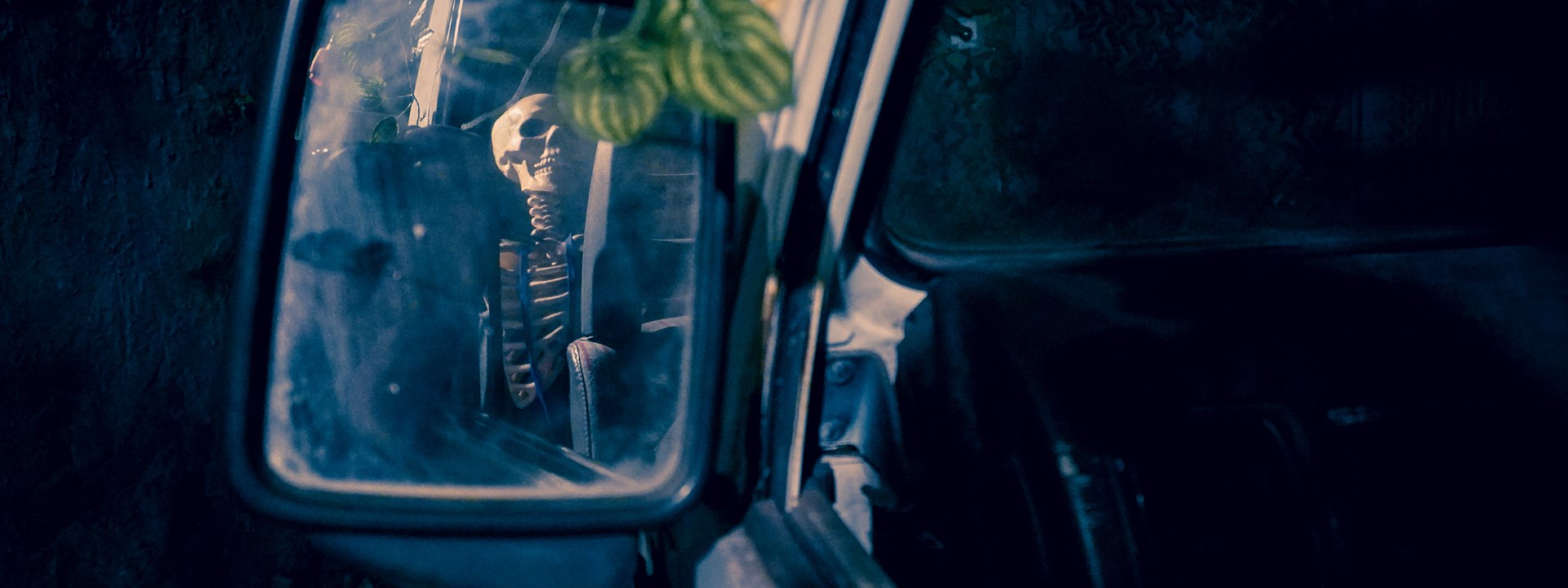 Extinct: Escape From Jurassic Island Room Image 2