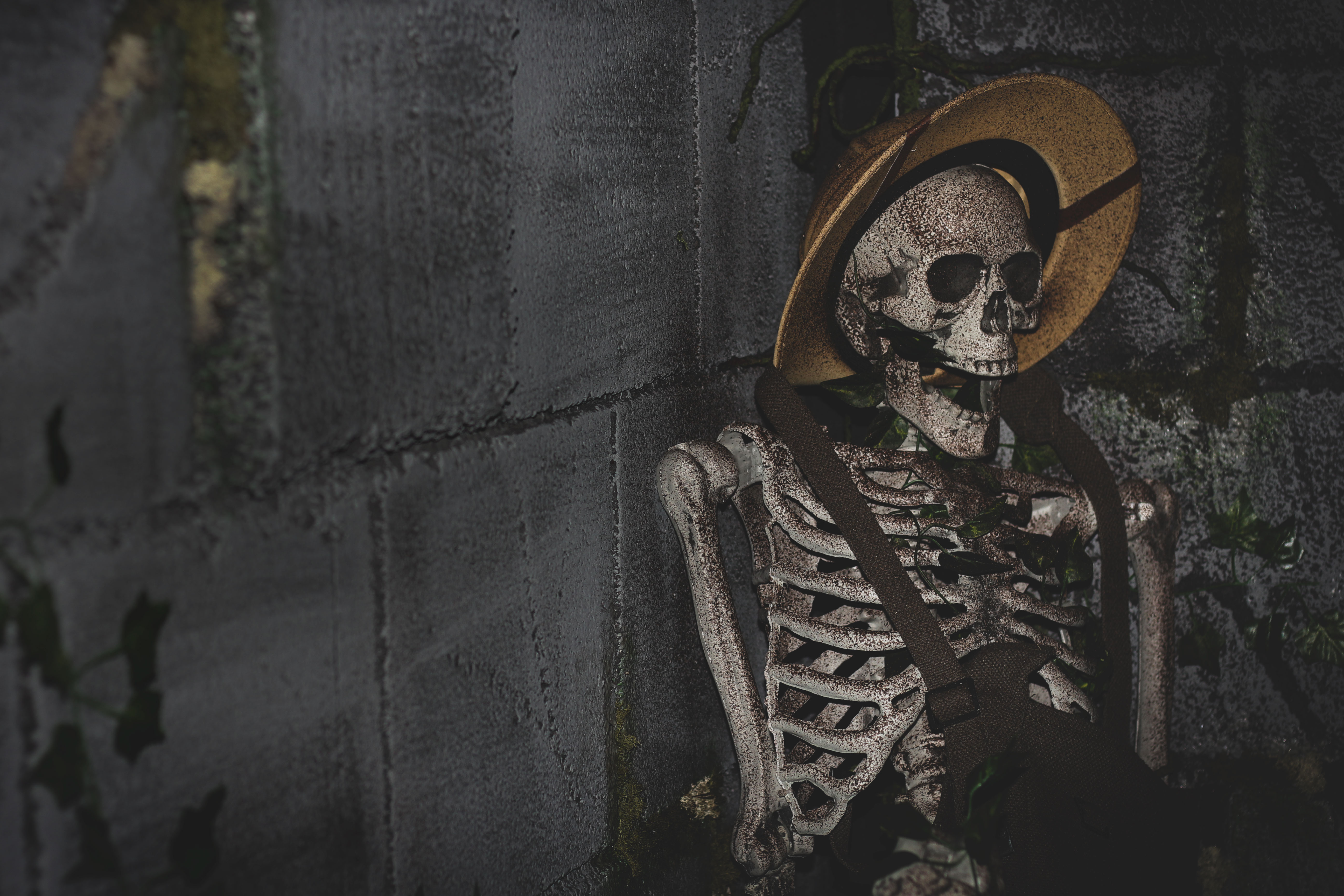 Temple Raider: Curse of the Golden Idol Room Image 1